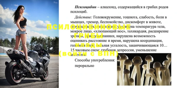 дживик Балахна