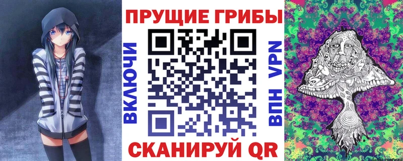 Галлюциногенные грибы Psilocybine cubensis Вельск